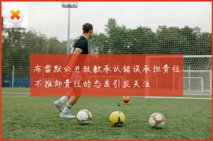 布雷默公开致歉承认错误承担责任不推卸责任的态度引发关注