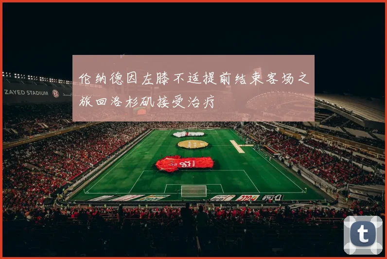 伦纳德因左膝不适提前结束客场之旅回洛杉矶接受治疗