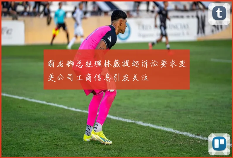 前龙狮总经理林葳提起诉讼要求变更公司工商信息引发关注