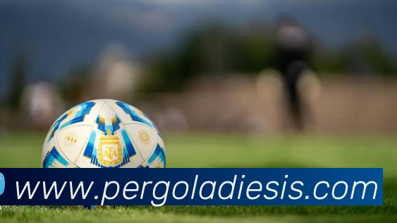 mk官网入口APP 高清赛事图